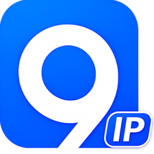 9Proxy IP